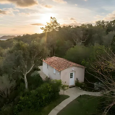 Mini 1 Piece 19 M2 Pour 2 Personnes Piscine Partagee Climatisation Daire Porto-Vecchio (Corsica)