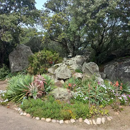 Mini 1 Pièce 19 M2 Pour 2 Personnes Piscine Partagée Climatisation Apartamento Porto Vecchio