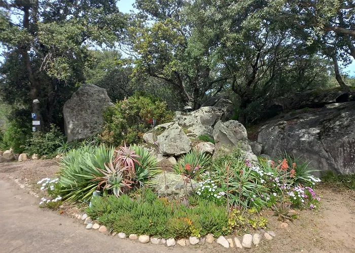 Mini 1 Piece 19 M2 Pour 2 Personnes Piscine Partagee Climatisation Apartamento Porto-Vecchio (Corsica)